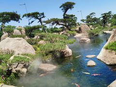 -罗红摄影艺术馆