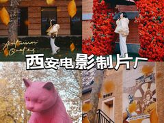 -西安电影制片厂