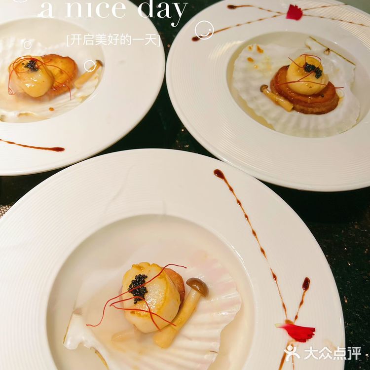 海胆自由的感觉也太赞了吧[胜利]