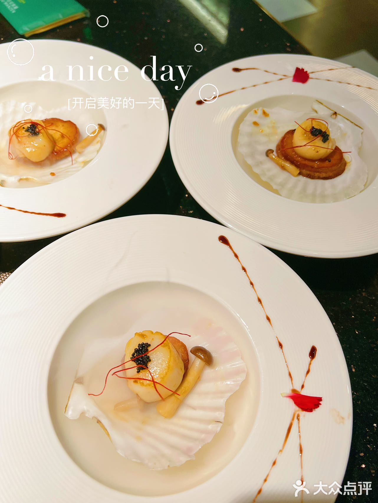 海胆自由的感觉也太赞了吧[胜利]