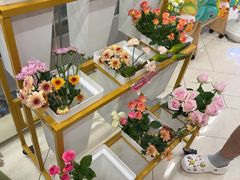 -海底捞火锅(莘松路店)