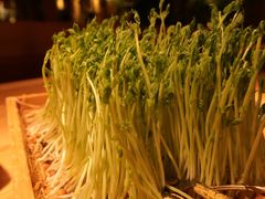 -大头椰·椰子鸡火锅(南宁万象城店)