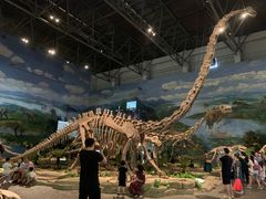 -自贡恐龙博物馆