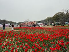 -无锡梅园公园