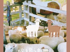 -神户市立六甲山牧场