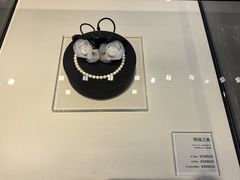 -BLACKSWAN黑天鹅(环球店)