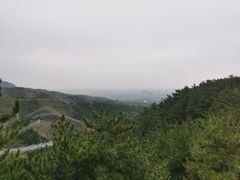 -大青山野生动物园