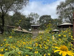 -玉渡山自然风景区