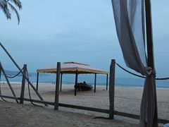 -精酿农场Brew Farm·沙漠绿洲餐厅