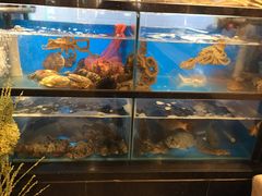 水产区-和然日本料理(开发区五彩城店)