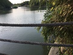 -九里河湿地公园