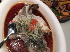 -马仕玖煲·融合菜·酥不腻烤鸭(人大店)