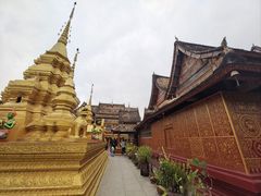 -西双版纳傣族园