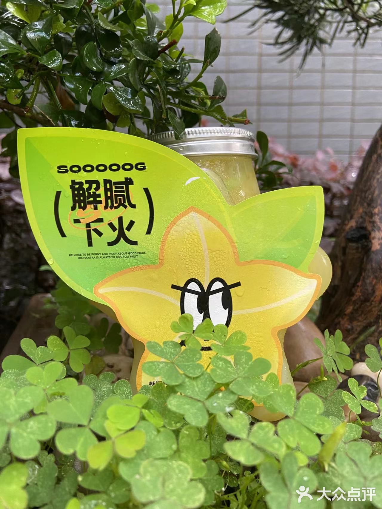 不喝就会后悔的杨桃特饮！