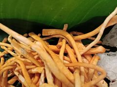 -木王宴语·野生鲜菌火锅(玉河店)