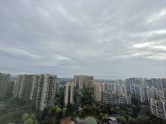 -成都保利公园皇冠假日酒店(熊猫基地店)