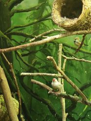 -Zoolung Zoolung动物主题公园(海信广场店)