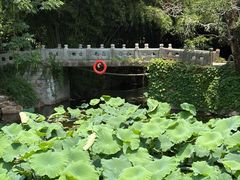 -水绘园