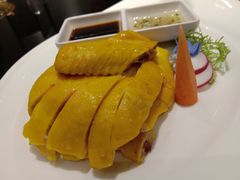 三黄鸡-丰收日(五角场店)