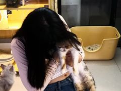-平行世界·猫咖(首经贸店)