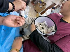 -美联众合动物医院·24h转诊中心