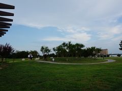 -青岛贝壳博物馆