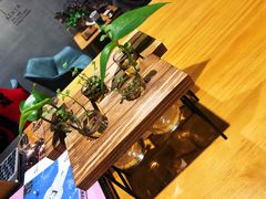 -ZING COFFEE 镜咖啡