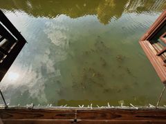 -邱记私房菜·十八年本地菜