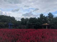 -广州市流溪河国家森林公园