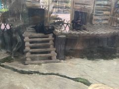 -灵玲国际马戏城