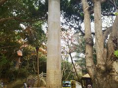 -海南分界洲岛旅游区