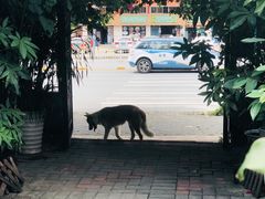 -豆舞咖啡(民乐路店)
