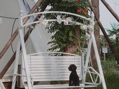 -安德鲁户外烧烤帐篷营地(马泉营店)