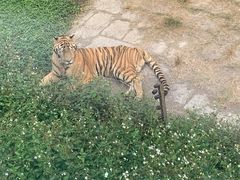 -深圳野生动物园