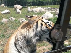 -西安秦岭野生动物园