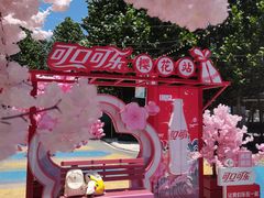 -东湖磨山景区樱花园-停车场