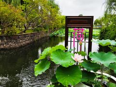 -无锡蠡湖国家湿地公园-蠡园