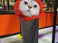 -Tenker Club弹刻极限主题公园 · 蹦床 · 团建 · 生日派对(大关店)