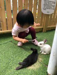 -萌宠亲子动物乐园(槐房万达店)