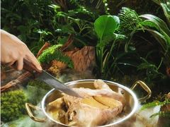 -菌山里·野生菌猪肚包鸡(阳光花园店)