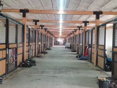 -北京群众马术培训基地