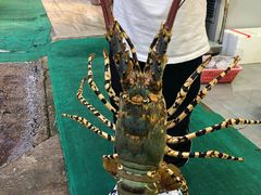 -广东名门