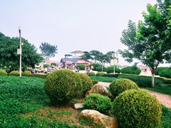 -傅家庄公园