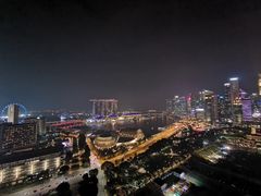 -新加坡瑞士史丹福酒店