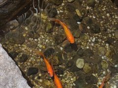 -邈墨茶馆(凤起路店)