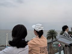 -野狸岛