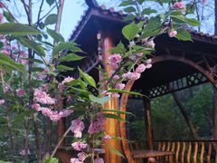 -太阳宫公园