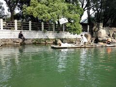 -白马涧龙池景区