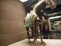 -西安大唐西市博物馆