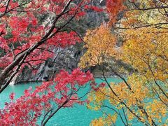 -叠溪松坪沟景区